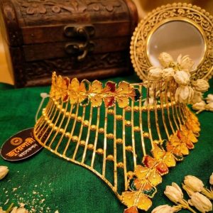 Royal Rani Haar Style Long Festive Necklace
